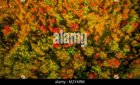 Antenne drone Ansicht von atemberaubenden farbenfrohen Herbst Wald. Drone Luftaufnahme Konzept. Stockfoto