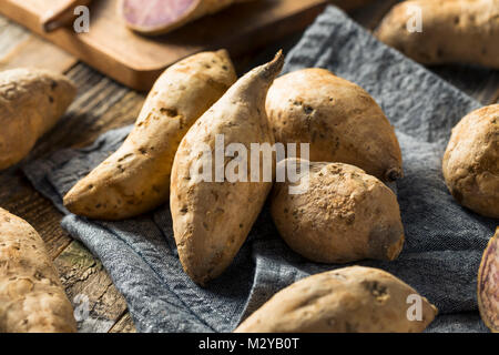 Raw Organic Hawaiian Süßkartoffeln bereit zu Kochen Stockfoto