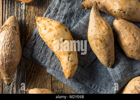 Raw Organic Hawaiian Süßkartoffeln bereit zu Kochen Stockfoto