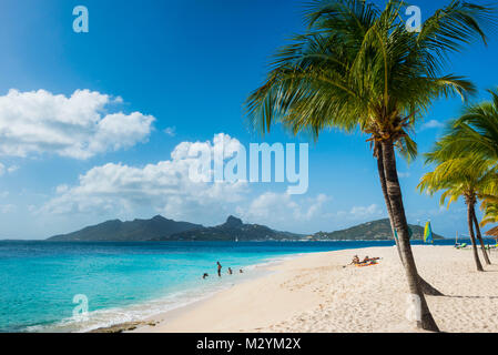 Palmen gesäumten weißen Sandstrand auf Palm Island, Union Island im Hintergrund, Grenadinen Inseln, St. Vincent und die Grenadinen, Karibik Stockfoto