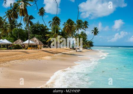 Sandstrand und Palmen von Pigeon Point, Tobago, Trinidad und Tobago, Karibik Stockfoto