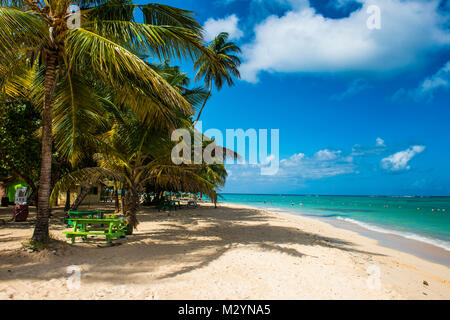 Sandstrand und Palmen von Pigeon Point, Tobago, Trinidad und Tobago, Karibik Stockfoto