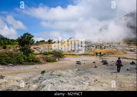 Rauchen Sikidang Krater, Dieng Plateau, Java, Indonesien Stockfoto