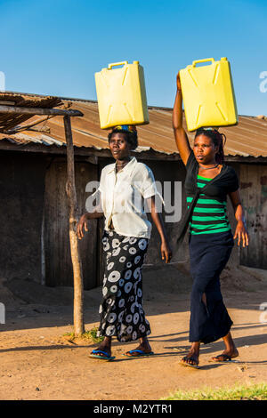 Frauen, die Wasser Kanistern auf dem Kopf bringen Wasser Startseite von Lake Albert, Uganda, Afrika Stockfoto