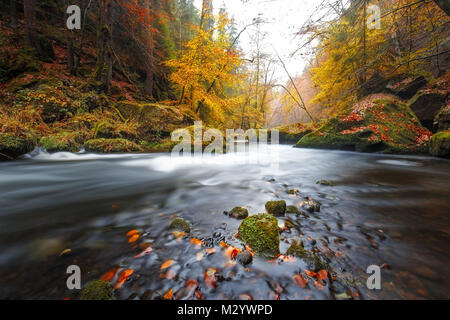 Die Kamnitz Schlucht im Nationalpark Sächsische Schweiz Stockfoto