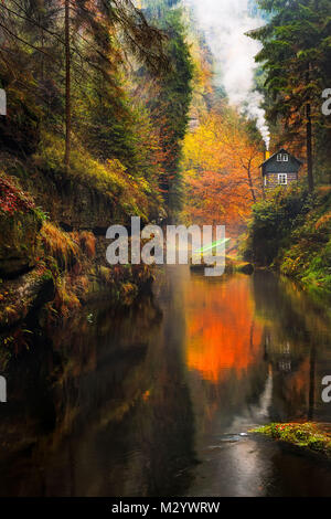 Die Kamnitz Schlucht im Nationalpark Sächsische Schweiz Stockfoto