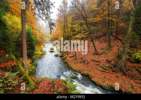 Die Kamnitz Schlucht im Nationalpark Sächsische Schweiz Stockfoto