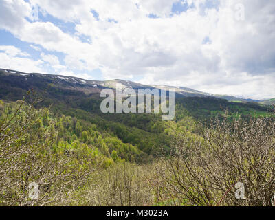 Frühling in und um die Dilijan National Park in Armenien ein Bereich der Wanderer, eine Vielzahl von Laubbäumen in verschiedenen Grüns Stockfoto