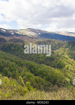 Frühling in und um die Dilijan National Park in Armenien ein Bereich der Wanderer, eine Vielzahl von Laubbäumen in verschiedenen Grüns Stockfoto