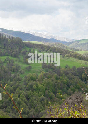 Frühling in und um die Dilijan National Park in Armenien ein Bereich der Wanderer, eine Vielzahl von Laubbäumen in verschiedenen Grüns Stockfoto