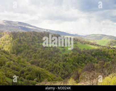 Frühling in und um die Dilijan National Park in Armenien ein Bereich der Wanderer, eine Vielzahl von Laubbäumen in verschiedenen Grüns Stockfoto