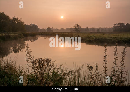 Sonnenaufgang über dem Fluss Wey in der englischen Landschaft bei Thundry wiesen Naturschutzgebiet, Surrey, Großbritannien Stockfoto