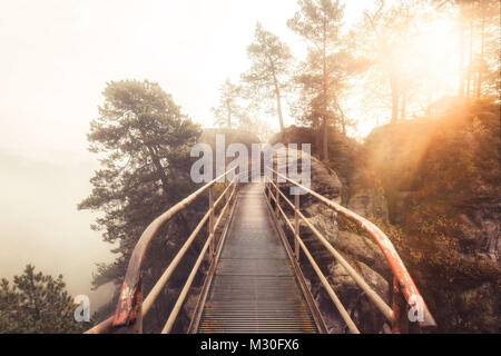 Eine Metallbrücke durch das Elbsandsteingebirge in der Nähe von Rathen auf einem nebligen Morgen Stockfoto