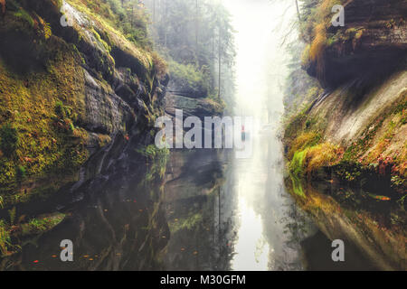 Die Kamnitz Schlucht im Nationalpark Sächsische Schweiz Stockfoto