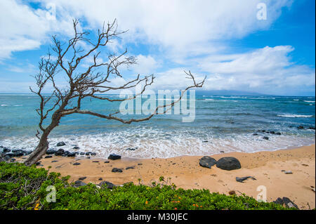 20 Mile Beach, Insel Molokai, Hawaii Stockfoto