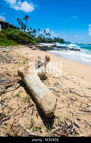 Sandstrand auf Kapaa Beach Park auf der Insel Kauai, Hawaii Stockfoto