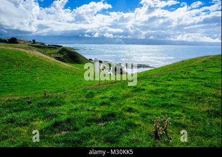 Blick von der clipp oben über der Kaikoura Halbinsel, Südinsel, Neuseeland Stockfoto