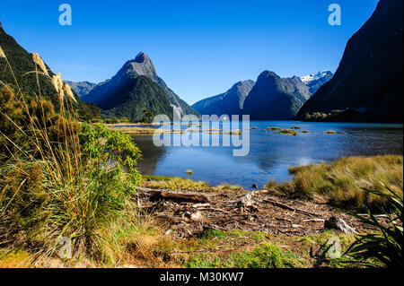 Die steilen Klippen von Milford Sound, Südinsel, Neuseeland Stockfoto