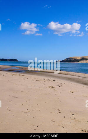 Einsamer Strand in Arai-Te-Uru Erholung Reserve Südende des Hokianga Harbour, Westcoast Northland, Nordinsel, Neuseeland Stockfoto