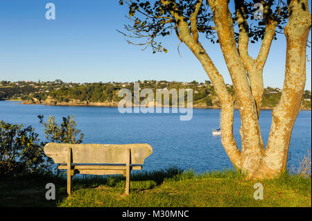 Sitzbank mit Blick auf den Strand von Oneroa auf Waiheke Island, North Island, Neuseeland Stockfoto