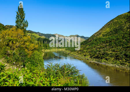 Blicken Sie über den Whanganui River in der lsuh grüner Landschaft, Whanganui River Road, North Island, Neuseeland Stockfoto