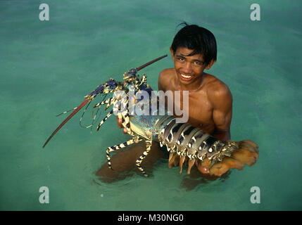 Junge mit großen Langusten, Insel Cebu, Visayas, Philippinen, Asien Stockfoto