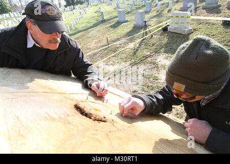 ARLINGTON, VA - Paul Carter (links), ein Norfolk Bezirk Förster, und Stephen Van Hoven, Gartenbau Division Chief Arlington National Friedhof, zählen Sie die Ringe auf einem Baumstumpf vor kurzem gefallenen Baum am Rande des Millenniumprojekts der Arlington National Friedhof hier, Feb 6, 2013. Den Baum, den Experten schätzen zu 145 Jahre alt werden, unterstützt die ersten Schätzungen auf Baum Alter in die Umweltverträglichkeitsprüfung des Projekts dokumentiert. Das Millennium Projekt wird der Friedhof erweitert, indem sie auf 27 Hektar und bietet zusätzlichen Platz und die Ausdehnung der Möglichkeit, militärischen Helden der Nation von 20 zu begraben. Stockfoto