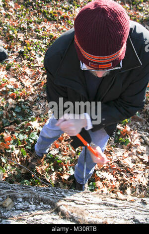 ARLINGTON, VA - Paul Carter, ein Norfolk Bezirk Förster, nimmt eine Bohrung Probe eines gefallenen red oak tree in Millennium Projekt Grenzen der Arlington National Friedhof hier, Feb 6, 2013. Carter untersucht das Alter der Bäume die ersten Schätzungen auf Baum Alter, in die Umweltverträglichkeitsprüfung des Projekts dokumentiert, um zu gewährleisten, sind richtig. Das Millennium Projekt wird der Friedhof erweitert, indem sie auf 27 Hektar und bietet zusätzlichen Platz und die Ausdehnung der Möglichkeit, militärischen Helden der Nation von 2025 bis 2045 zu begraben. 130206-A-OI 229-018 durch norfolkdistrict Stockfoto