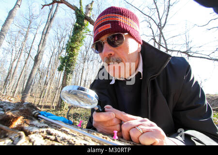 ARLINGTON, VA - Paul Carter ein Norfolk Bezirk Förster, verwendet eine Lupe eine Bohrung Probe von einem gefallenen red oak tree in Millennium Projekt Grenzen der Arlington National Friedhof hier genommen, Feb 6, 2013 zu suchen. Carter untersucht das Alter der Bäume die ersten Schätzungen auf Baum Alter in die Umweltverträglichkeitsprüfung des Projekts dokumentiert korrekt sind zu gewährleisten. Das Millennium Projekt wird der Friedhof erweitert, indem sie auf 27 Hektar und bietet zusätzlichen Platz und die Ausweitung der abilityto militärischen Helden der Nation von 2025 bis 2045 begraben. 130206-A-OI 229-036 durch norfolkdistrict Stockfoto