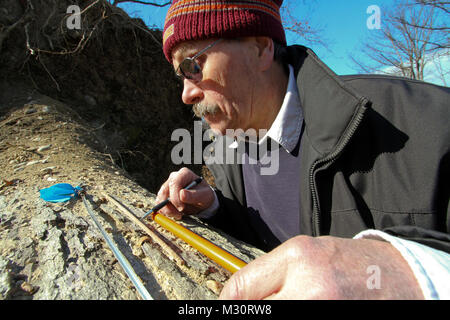 ARLINGTON, VA - Paul Carter ein Norfolk Bezirk Förster, schaut auf eine Bohrung Probe von einem gefallenen red oak tree in Millennium Projekt Grenzen der Arlington National Friedhof hier genommen, Feb 6, 2013. Carter untersucht das Alter der Bäume die ersten Schätzungen auf Baum Alter in die Umweltverträglichkeitsprüfung des Projekts dokumentiert korrekt sind zu gewährleisten. Das Millennium Projekt wird der Friedhof erweitert, indem sie auf 27 Hektar und bietet zusätzlichen Platz und die Ausweitung der abilityto militärischen Helden der Nation von 2025 bis 2045 begraben. 130206-A-OI 229-051 durch norfolkdistrict Stockfoto