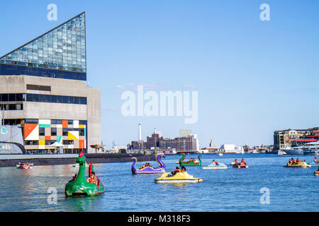 Baltimore Maryland, Binnenhafen, Hafen, Patapsco River, Hafen, Hafengebiet, Harbourplace, nationales Aquarium, Paddelbootfahrt, Drachenboot, Skyline, MD100701021 Stockfoto