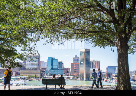 Baltimore Maryland, Federal Hill Park, Inner Harbor, Hafen, Patapsco River, Hafen, Hafengebiet, Skyline, Baum, Parkbank, Aussicht, Schatten, spazieren gehen, entspannen, Männer männlich, Stockfoto