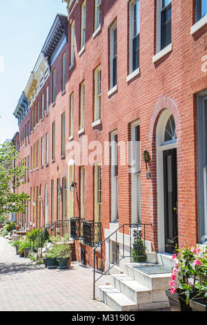 Baltimore Maryland, Federal Hill, historisches Viertel, Stadthaus, Reihenhäuser, Stadthaus, Stadthaus, rotes Backstein, Straße, Bürgersteig, Blumentopf, Tür, Stockfoto