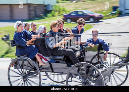 Strasburg Pennsylvania, Amish Pferdewagen, Mädchen weibliche Jungen männliche Teenager Jugendliche rumspringa, rasend riskantes rebellisches Verhalten umwerben Stockfoto