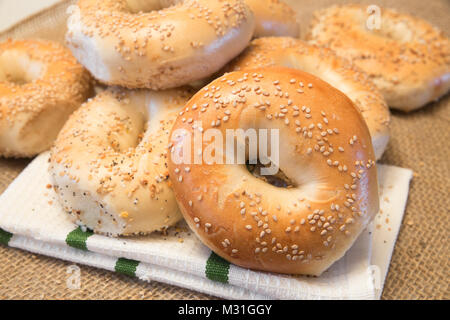 Authentischen New York Style Bagels mit Sesam Stockfoto