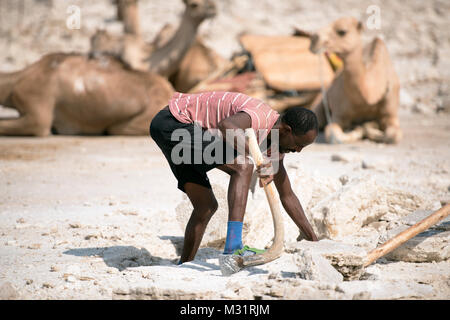 Eine ferne Menschen Minen Salz in die danakil Depression Wüste und Kamele warten, bis es auf den Markt zu bringen. Stockfoto