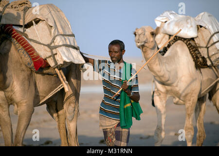 Eine Ferne Mann mit seinen Kamelen unter Salz Bausteine zum nächsten Markt. Danakil Wüste, Äthiopien. Stockfoto