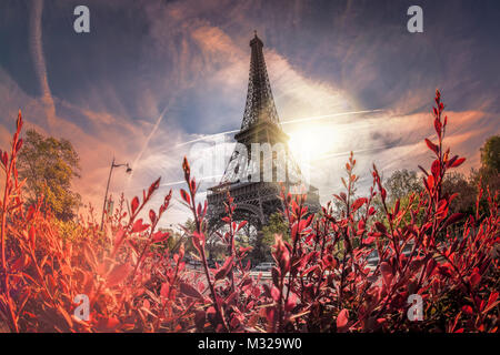 Eiffelturm im Frühling in Paris, Frankreich Stockfoto