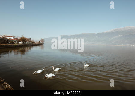 Ioannina See in der Region Epirus, Griechenland. Künstlerische Panoramablick mit natürlichen Spiegelbild im Wasser und Nebel Stockfoto