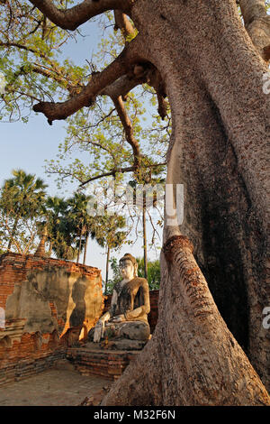 Alte Tempel Ruinen, alte Statue eines sitzenden Buddha und einem großen Baum an der Yadana Hsemee Pagode Komplex in Inwa (Ava) in der Nähe von Mandalay, Myanmar (Birma). Stockfoto