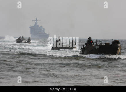 Republik Korea Marine Drive Amphibious Assault Fahrzeuge auf Dogue Strand während der Übung Ssang Yong, Pohang, Korea, 3. April 2014. Übung Ssang Yong wird jährlich in der ROK durchgeführt Interoperabilität zwischen USA und ROK Kräfte zu, indem Sie ein breites Spektrum von Amphibischen Operationen während präsentiert sea-basierten Power Projektion im Pazifik zu verbessern. (U.S. Marine Corps Foto von Cpl. Lauren Whitney/Freigegeben) Rohrbelüfter an Land gehen, durch # FIRMA PACOM Stockfoto