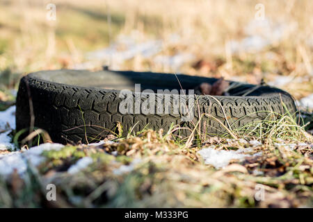 Müll in den Wald. Haunted Wald und Natur. Winter, Frühjahr. Stockfoto