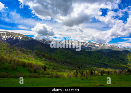 Ruhigen, grünen Wald Landschaft mit blauem Himmel und geschwollene Wolken. Die schneebedeckten Berge mit blauem Himmel und geschwollene Wolken mit üppigen Grüns. Stockfoto