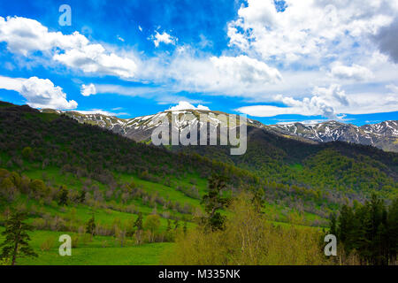 Ruhigen, grünen Wald Landschaft mit blauem Himmel und geschwollene Wolken. Die schneebedeckten Berge mit blauem Himmel und geschwollene Wolken mit üppigen Grüns. Stockfoto