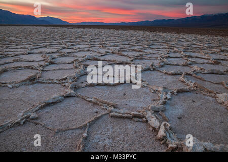 Polygon Muster, Badwater Basin, Death Valley National Park, Kalifornien Stockfoto