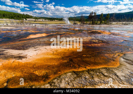 Warmes Wasser aus heissen Quellen unterstützt bunte das mikrobielle Wachstum. Yellowstone National Park, Wyoming, USA Stockfoto