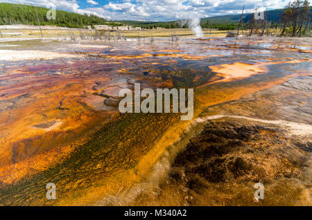 Warmes Wasser aus heissen Quellen unterstützt bunte das mikrobielle Wachstum. Yellowstone National Park, Wyoming, USA Stockfoto