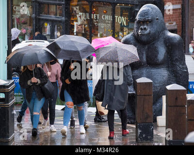 Käufer Schlacht eine Schneedusche in einem Leben beobachteten mittleren Fiberglas Gorilla auf Wyle Cop, Shrewsbury, während eines Festivals feiern links der Stadt mit Charles Darwin. Stockfoto