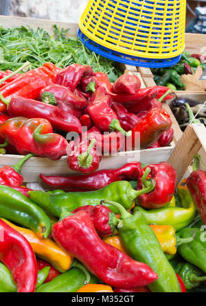 In der Nähe von Grün, Gold und Rot anaheim Chile Pfeffer auf einem Bauernmarkt in Aix-en-Provence verkauft wird, Frankreich. Stockfoto