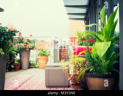 Canna terrasse Blumen Töpfe auf Balkon oder Terrasse mit Rattanmöbeln. Urbanes Leben und Lebensstil Stockfoto
